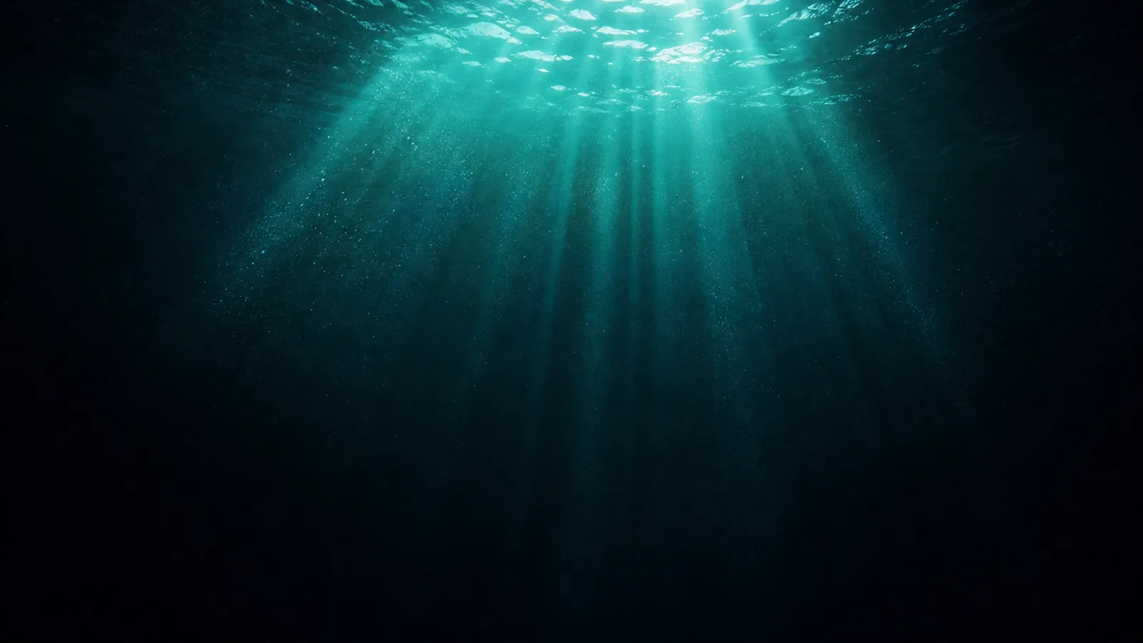 Shafts of sunlight filtering through the upper ocean
